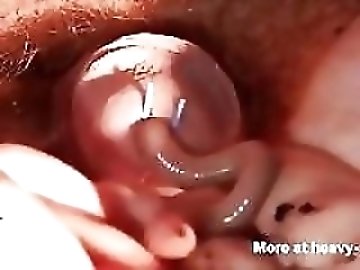 POV Blowjob zoo
