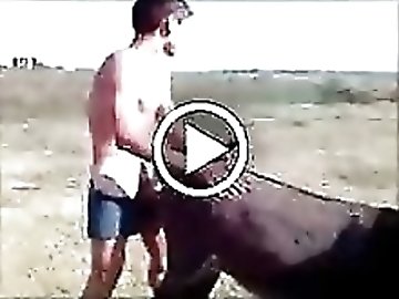 Fighting zoo